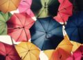 Single Adults’ Best Insurance Bundles